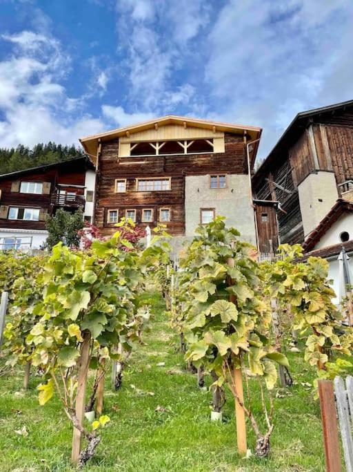 Swiss Chalet Near Flims Trin Εξωτερικό φωτογραφία
