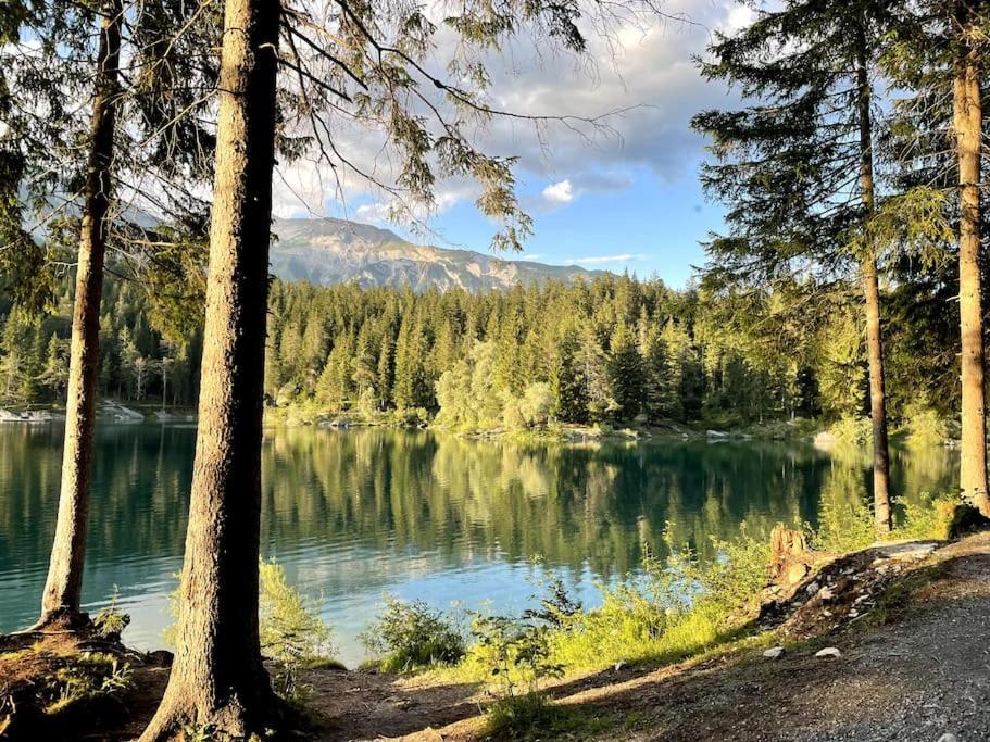Swiss Chalet Near Flims Trin Εξωτερικό φωτογραφία