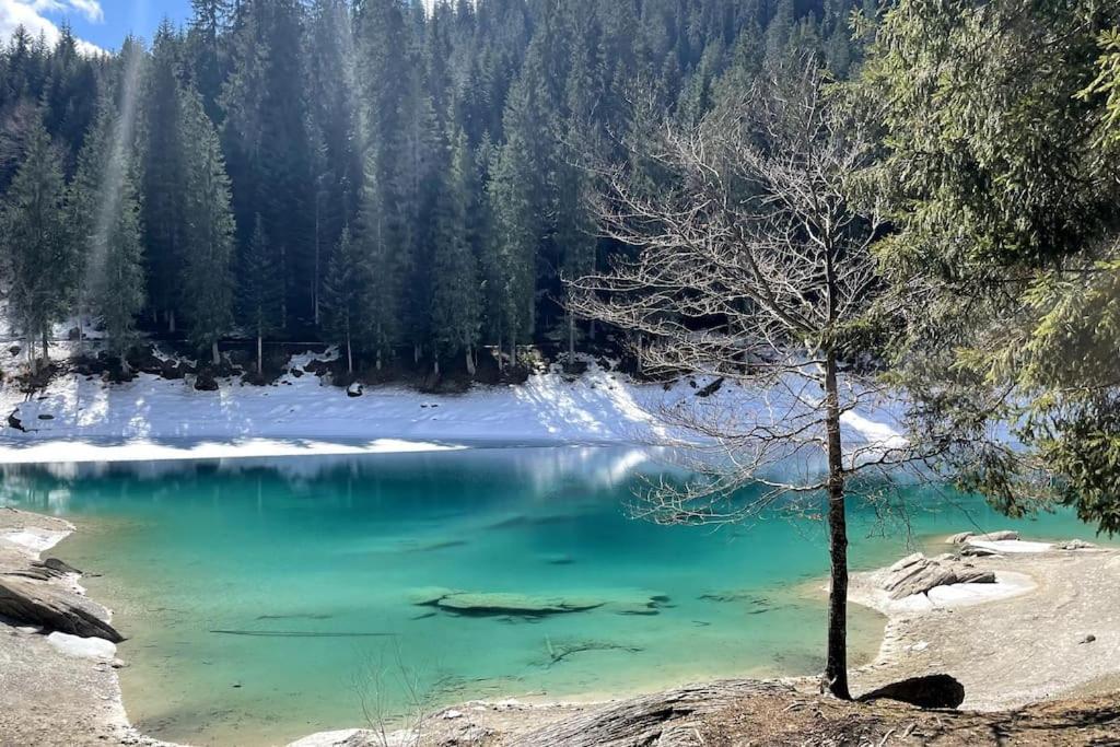 Swiss Chalet Near Flims Trin Εξωτερικό φωτογραφία